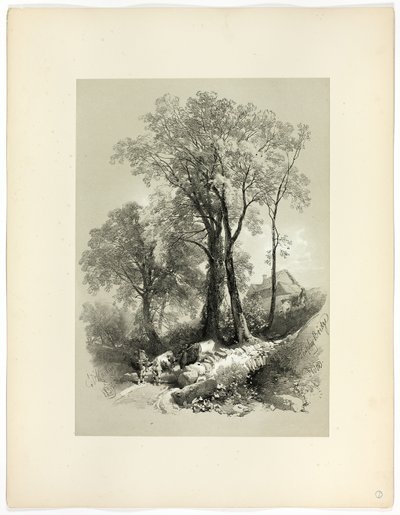 Ponte Shipley, Devon, de Seleções Pitorescas de James Duffield Harding