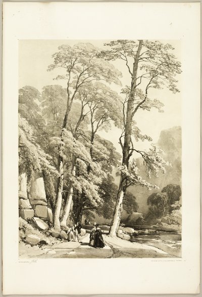 Sycamore, do Parque e da Floresta de James Duffield Harding
