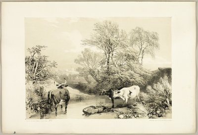 Espinho, Salgueiro, Faia e Bétula, do Parque e da Floresta de James Duffield Harding