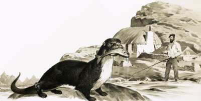 Lontra com peixe e homem a pescar de James Edwin McConnell