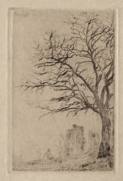 Acácia de James Ensor