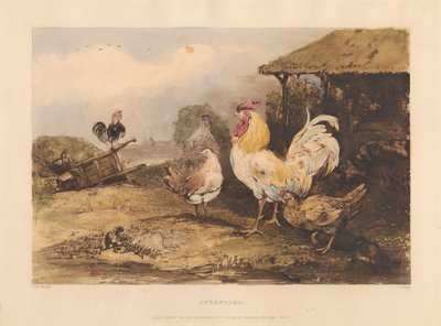 Cavalaria Rural; Uma série em seis pratos de Galos Lutadores: 1. Atenção de James Fahey
