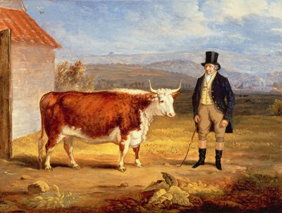 Sr. James Hodges e sua novilha Hereford de dois anos, c.1843 de James Flewitt Mullock