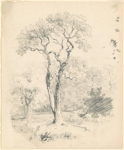 Uma Clareira de Árvores de James Goodwyn Clonney