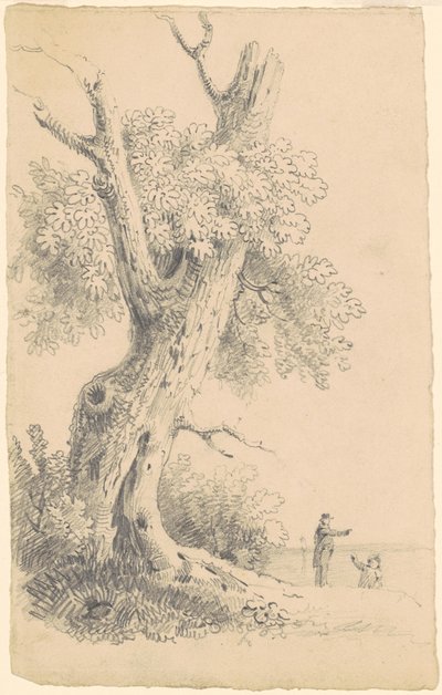 Árvore perto da costa de James Goodwyn Clonney