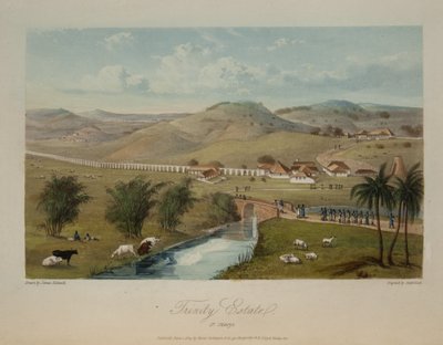 Propriedade da Trindade. Santa Maria de James Hakewill