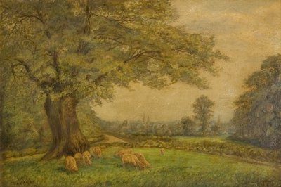As torres de Coventry vistas de longe de James Henry Bambrick