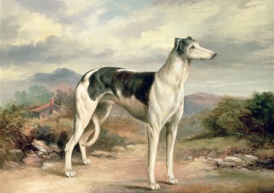 Um galgo em uma paisagem montanhosa de James Henry Beard