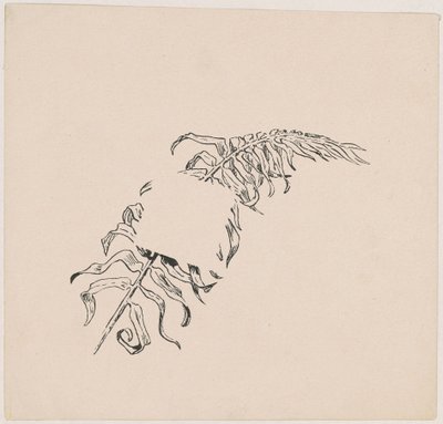 Ramo de James Henry Moser