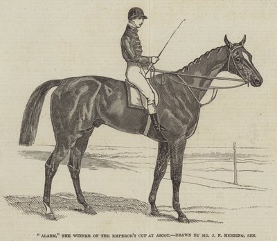 Alarme, o vencedor da Taça do Imperador no Ascot de James Herring