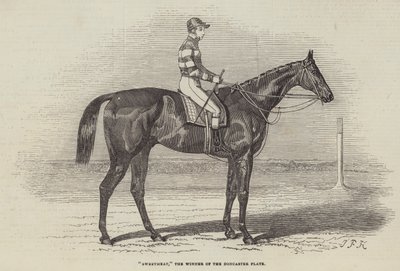 Sweetmeat, o vencedor da placa de Doncaster de James Herring