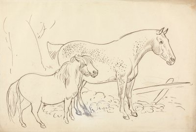 Cavalo e Pónei de James Howe