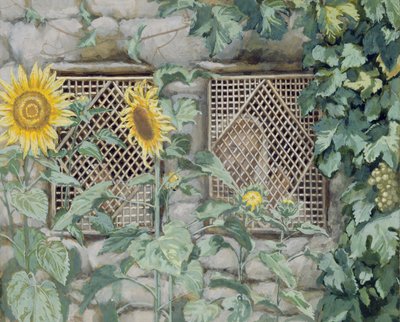 Jesus, olhando, um, Lattice, com, girassóis, ilustração, para, vida, de, christ, c.1886-96, (guache, e, wc, ligado, paper) de James Jacques Joseph Tissot