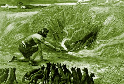 Sansão e as raposas por J James Tissot - Bíblia de James Jacques Joseph after Tissot