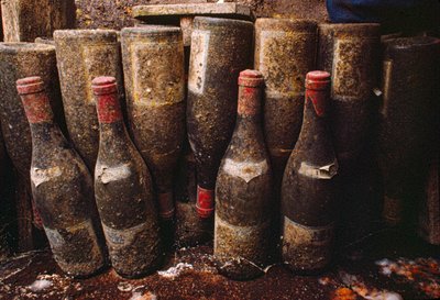 Garrafas de vinho tinto, cobertas de bolor, a envelhecer numa adega. Tain-L