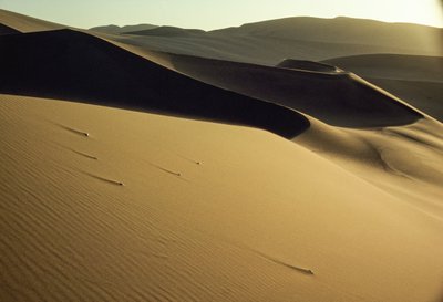 Vista de dunas sombreadas de corte acentuado perto de Dunhuang. Província de Gansu, República Popular da China. de James L Stanfield