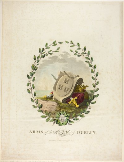 Dublin de James Malton