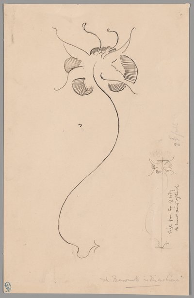 Borboleta (frente); Estudo de borboleta (verso) de James McNeill Whistler
