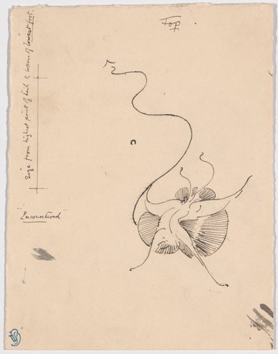 Borboleta "Encontrada" (anverso); Esboço para o arremate (verso) de James McNeill Whistler