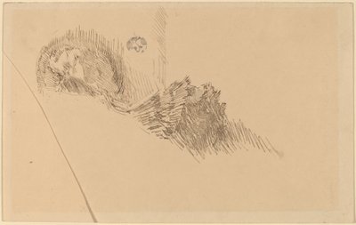 Sra ou Senhorita McNay de James Abbott McNeill Whistler