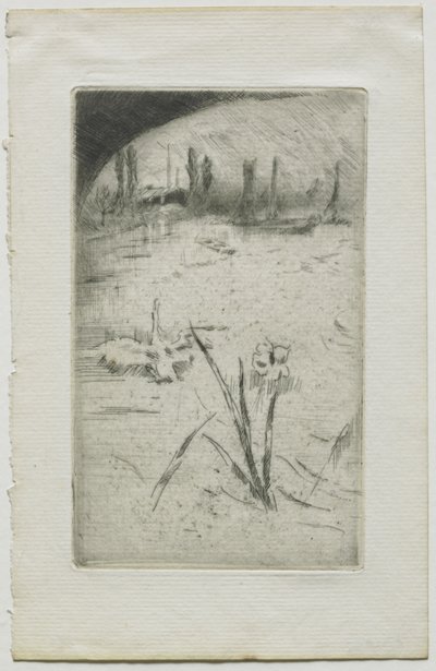 Cisne e íris de James McNeill Whistler