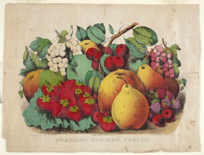 Fruta Americana de Verão de James Merritt Ives