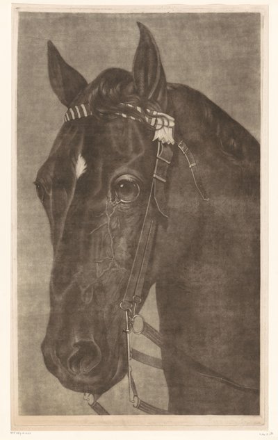 Cabeça de um cavalo com freio de James Newman Hodges