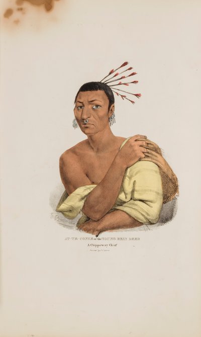 AT-TE-CONSE ou o jovem veado; um chefe Chippeway, de The Aboriginal Portfolio de James Otto Lewis