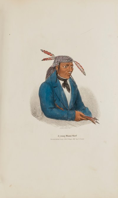 Um jovem chefe de Miami, de The Aboriginal Portfolio de James Otto Lewis