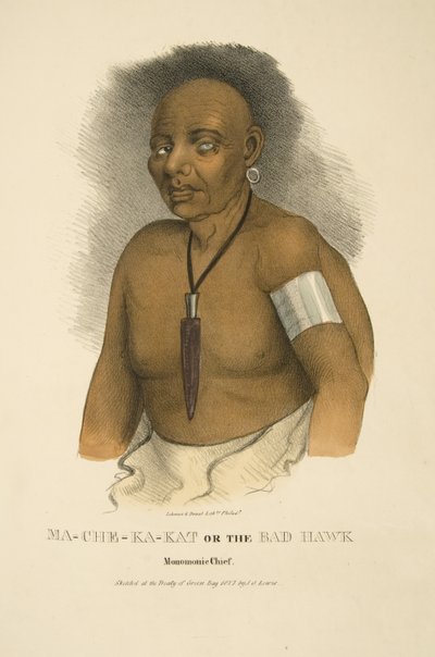 Ma-che-ka-kat ou o Mau Falcão de James Otto Lewis