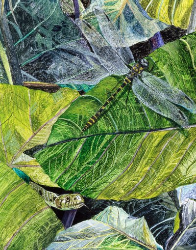 Cobra d&39;água e mosca-dragão, 1971 de James Reeve