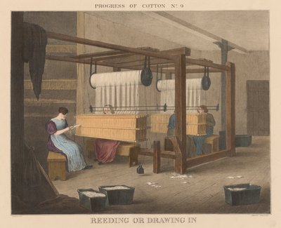 Progresso do Algodão: #9 - Reeding ou desenho de James Richard Barfoot