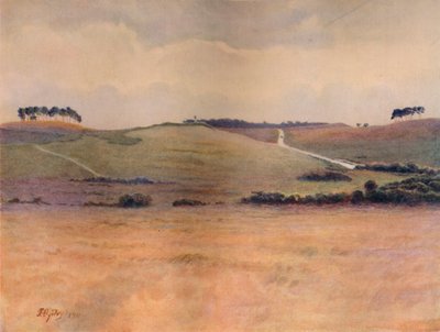 "Chobham Common", 1911, 1914 de James S Ogilvy