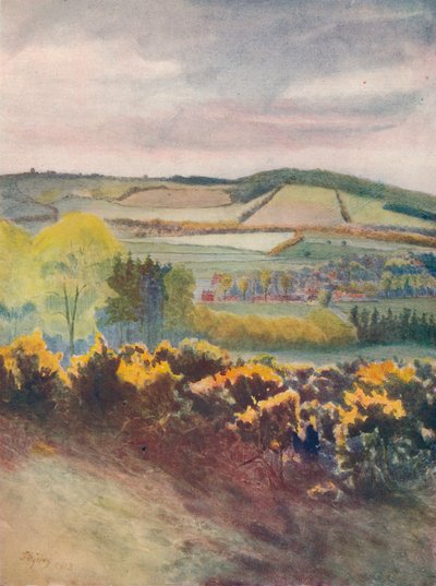 View Towards Caterham, from Tilburstow Hill