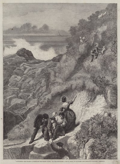 Recolhendo os rebanhos, uma cena na costa galesa de James Sant