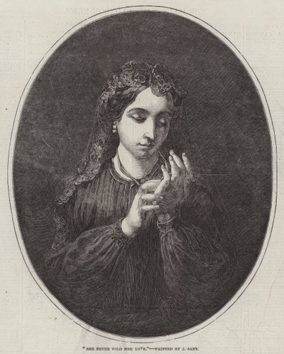 Ela nunca disse seu amor de James Sant
