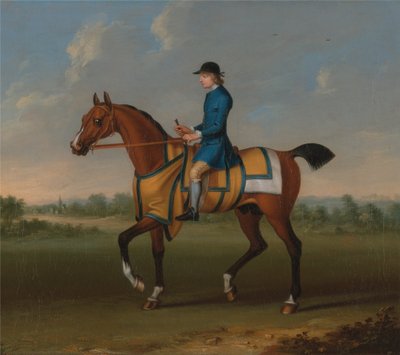 Um cavalo de corrida baio com Jockey Up de James Seymour