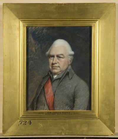 Sir Joseph Banks, naturalista inglês de James Sharples