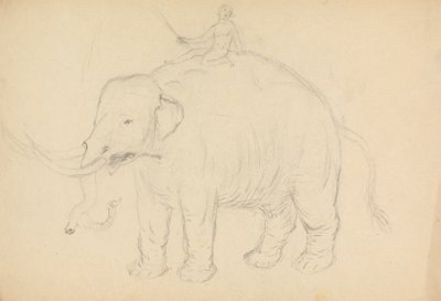 Elefante com Cavaleiro de James Sowerby