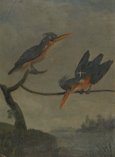 Dois Kingfishers ao lado de um lago de James Sowerby