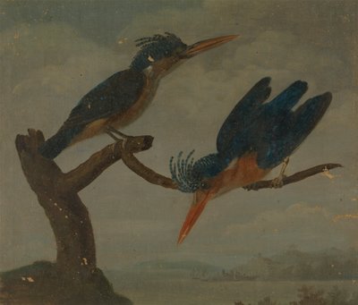 Dois Kingfishers ao lado de um lago de James Sowerby