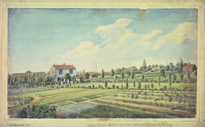 Jardim botânico de William Curtis, Lambeth Marsh, c.1787 (aquarela sobre papel) de James Sowerby