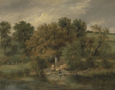 Lavagem de Ovelhas em Postwick Grove, Norwich, c.1822 (óleo no painel) de James Stark