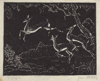 Voo (impressão em bloco de madeira) de James W. Reid