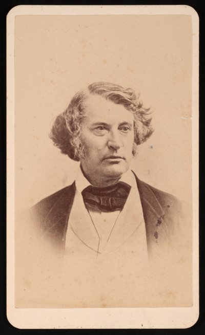 Retrato de Charles Sumner 1811-1874, Antes de 1874. de James Wallace Black