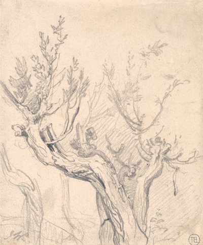 Uma Árvore Gnarled de James Ward
