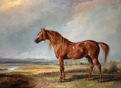 Copenhaga, o carregador preferido de Wellington, numa paisagem de James Ward