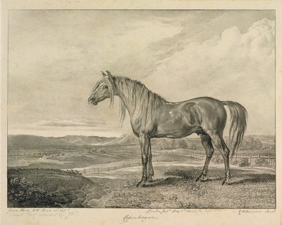 Copenhagen, de &39;Celebrated Horses&39;, um conjunto de catorze impressões de corrida publicadas pelo artista, 1823-24 de James Ward