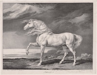 Quatorze cavalos celebrados: Adonis, 1824. de James Ward