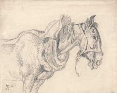 Cabeça e ombros de um cavalo de carroça de James Ward
